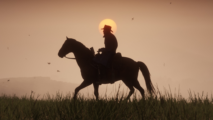 Скриншот из игры Red Dead Redemption 2 - 43