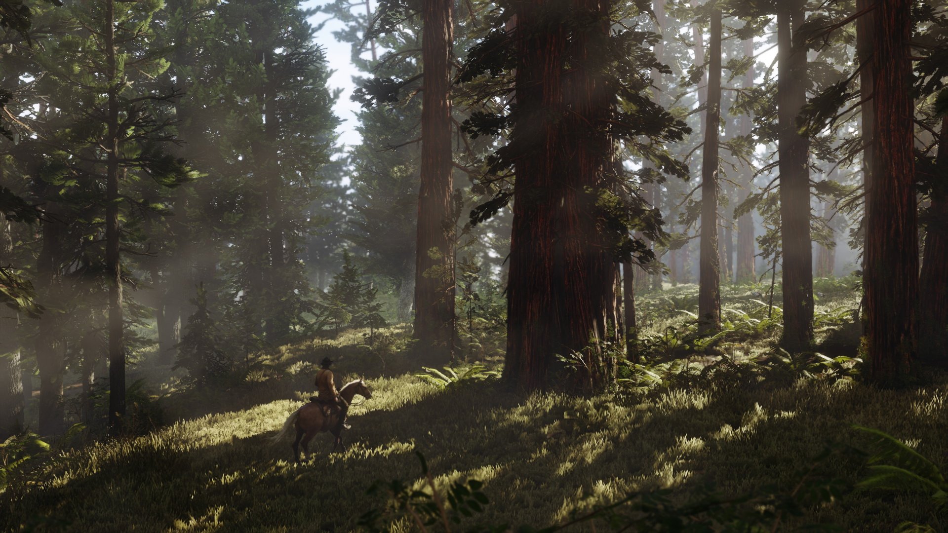 Скриншот из игры Red Dead Redemption 2 - 49