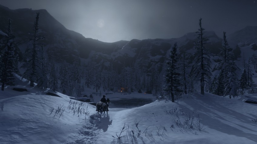 Скриншот из игры Red Dead Redemption 2 - 56