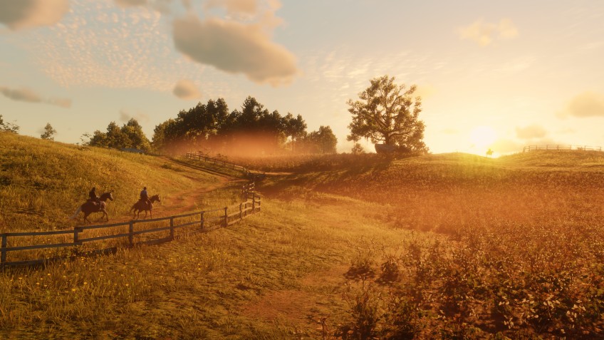 Скриншот из игры Red Dead Redemption 2 - 72