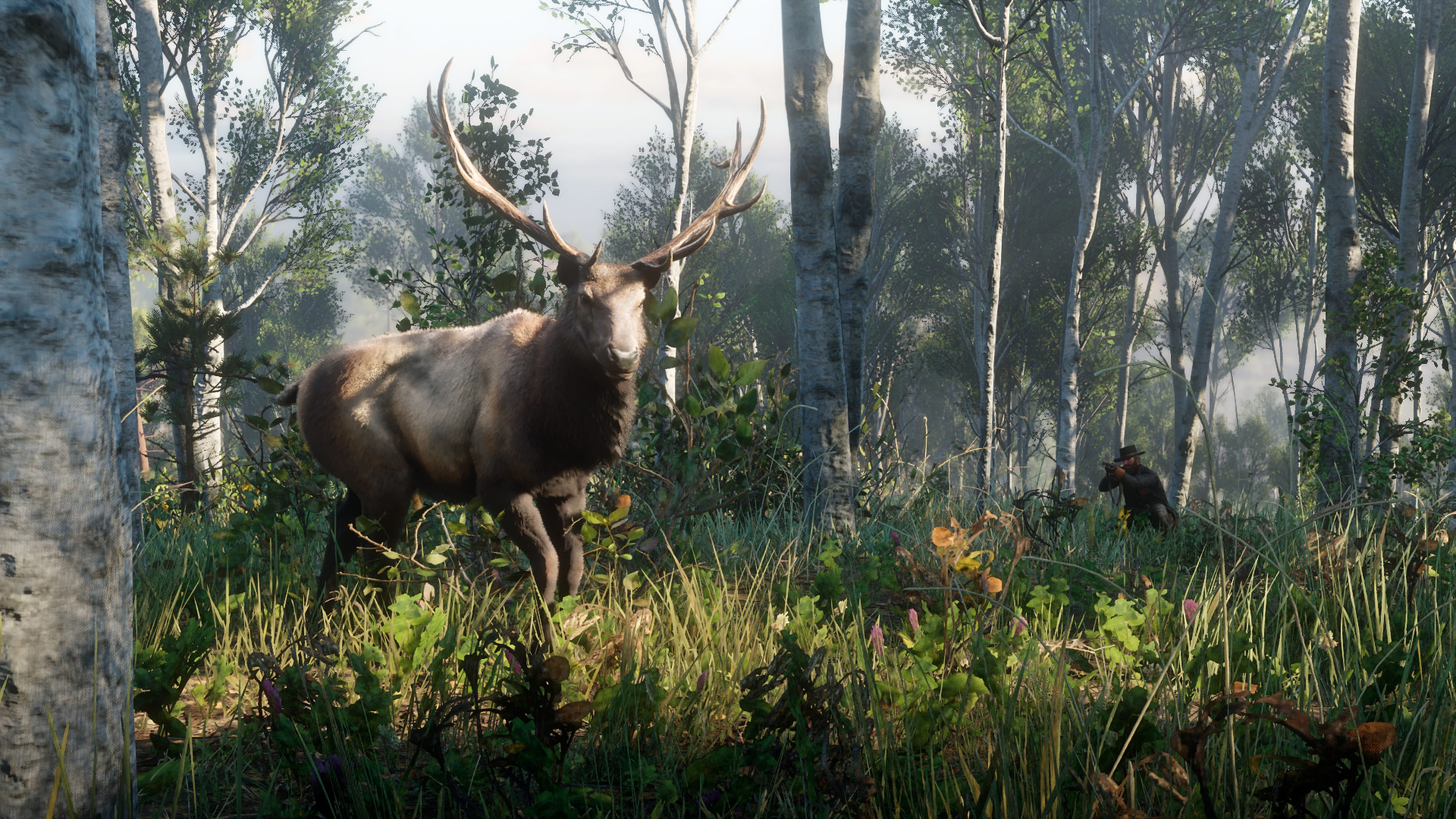 Скриншот из игры Red Dead Redemption 2 - 78