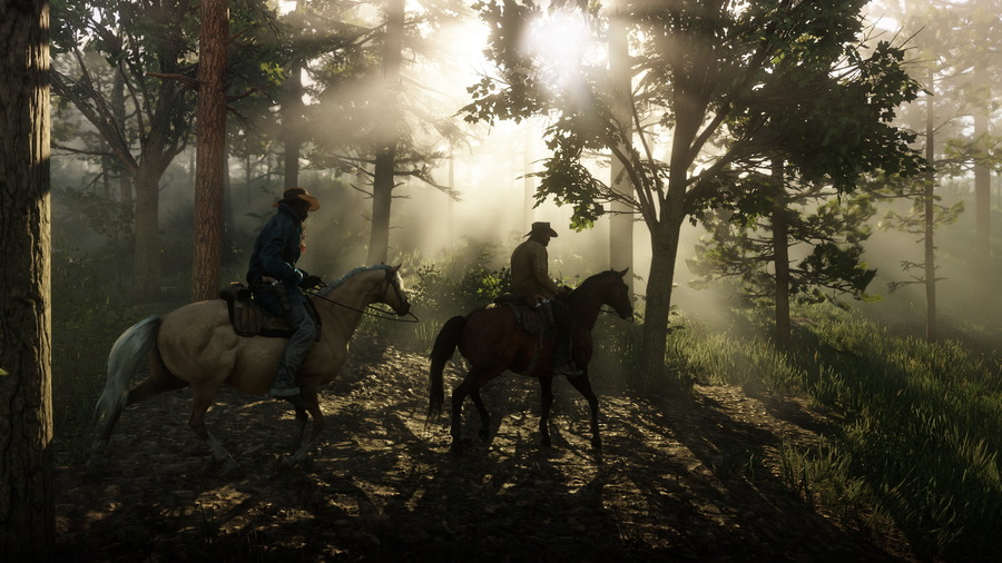 Скриншот из игры Red Dead Redemption 2 - 10