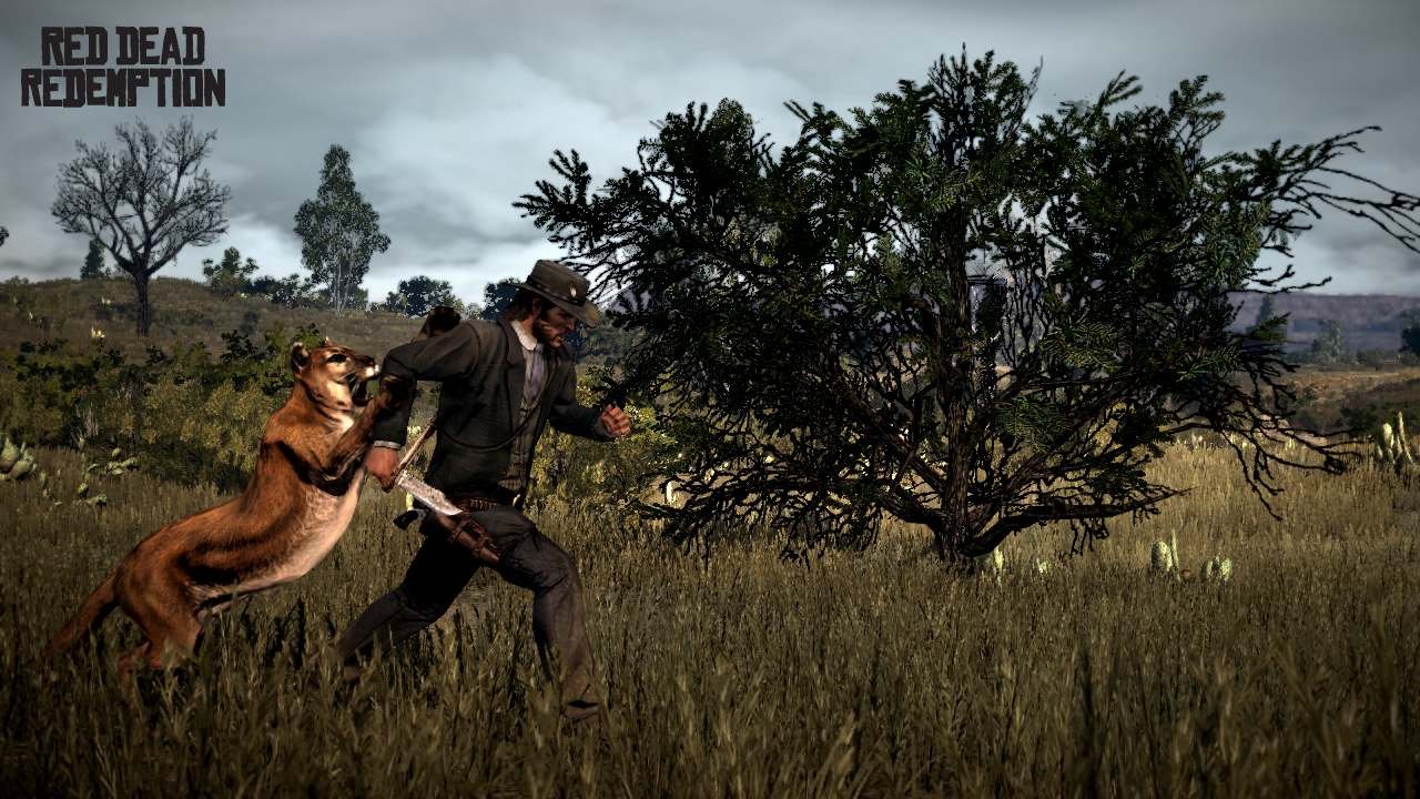 Скриншот из игры Red Dead Redemption - 336
