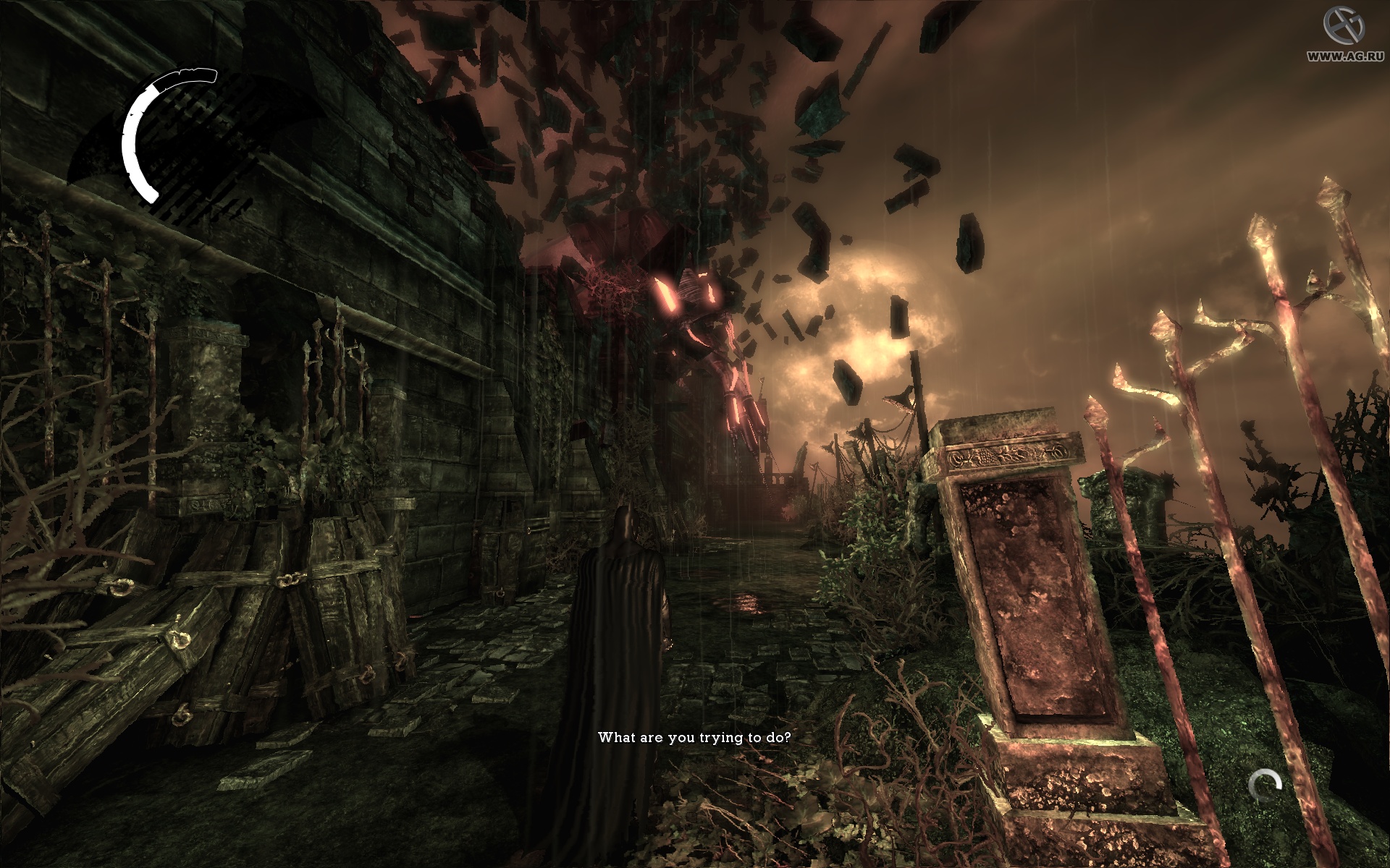 Скриншот из игры Batman: Arkham Asylum - 132