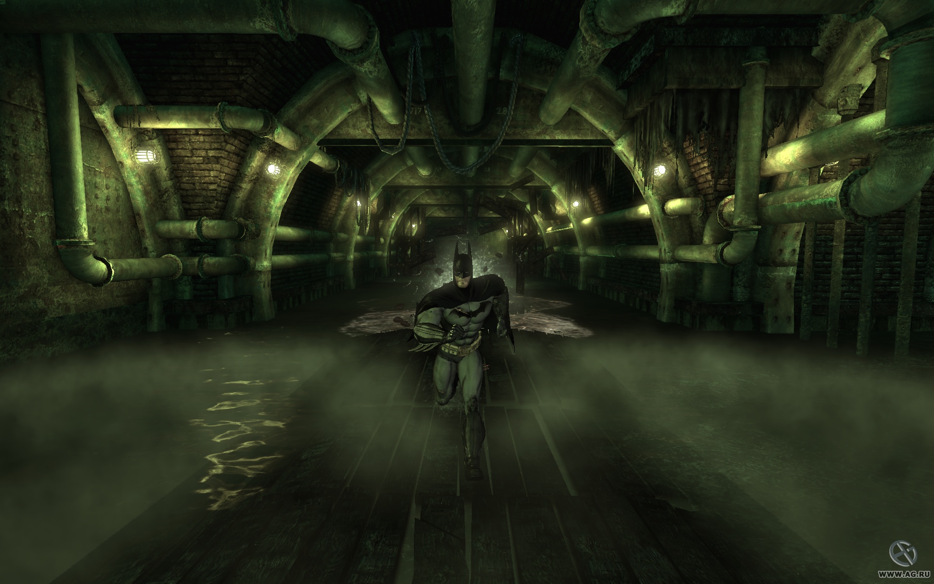 Скриншот из игры Batman: Arkham Asylum - 198