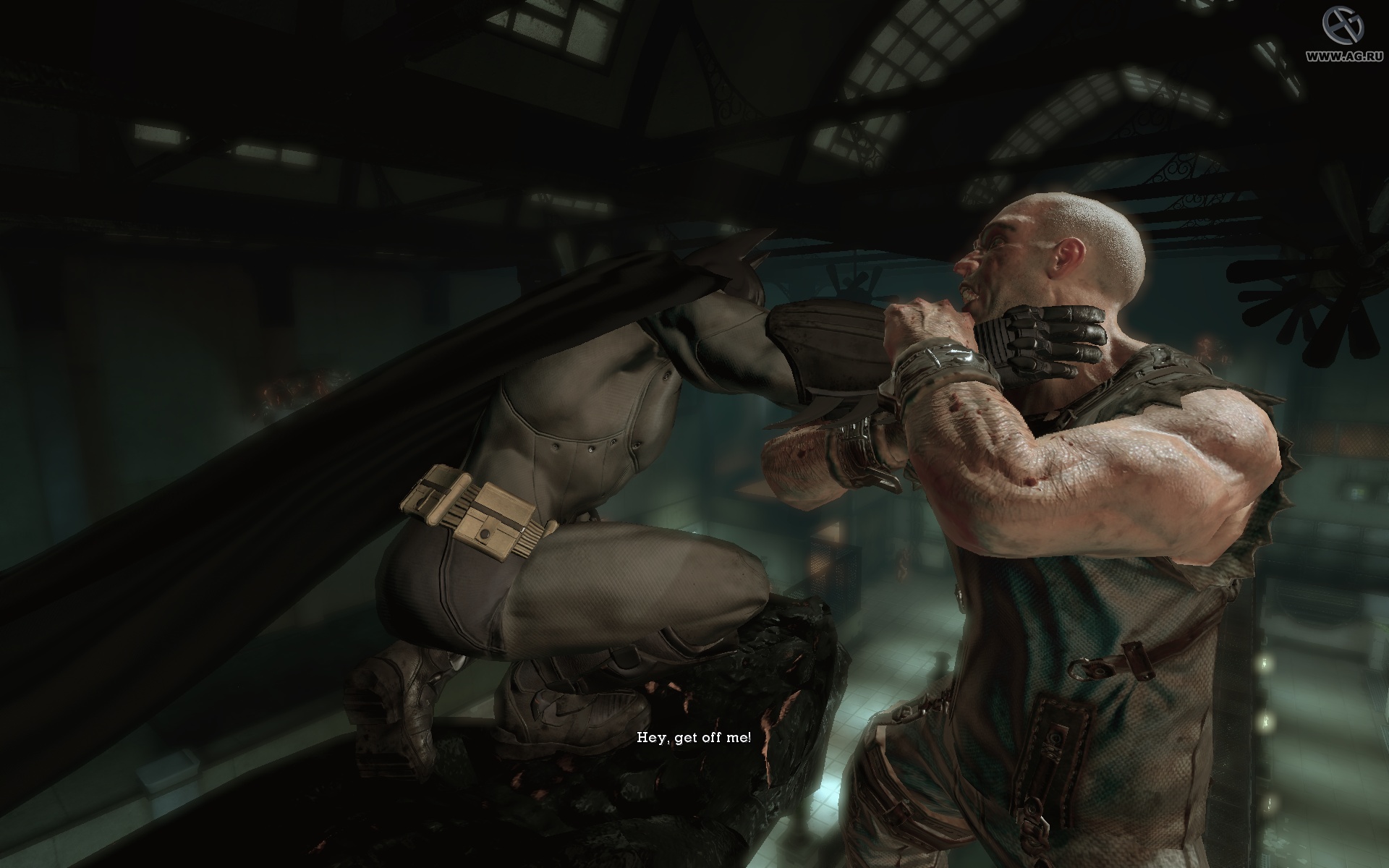 Скриншот из игры Batman: Arkham Asylum - 21