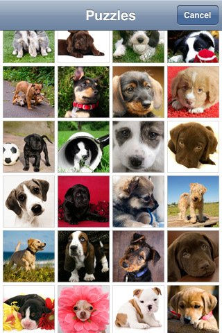 Скриншот из игры Adorable Puppy Jigsaw Puzzle - 3