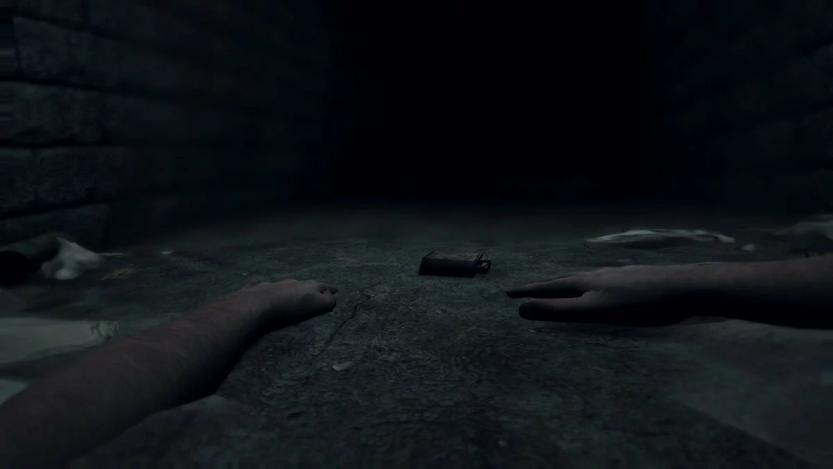 Скриншот из игры Hektor - 26