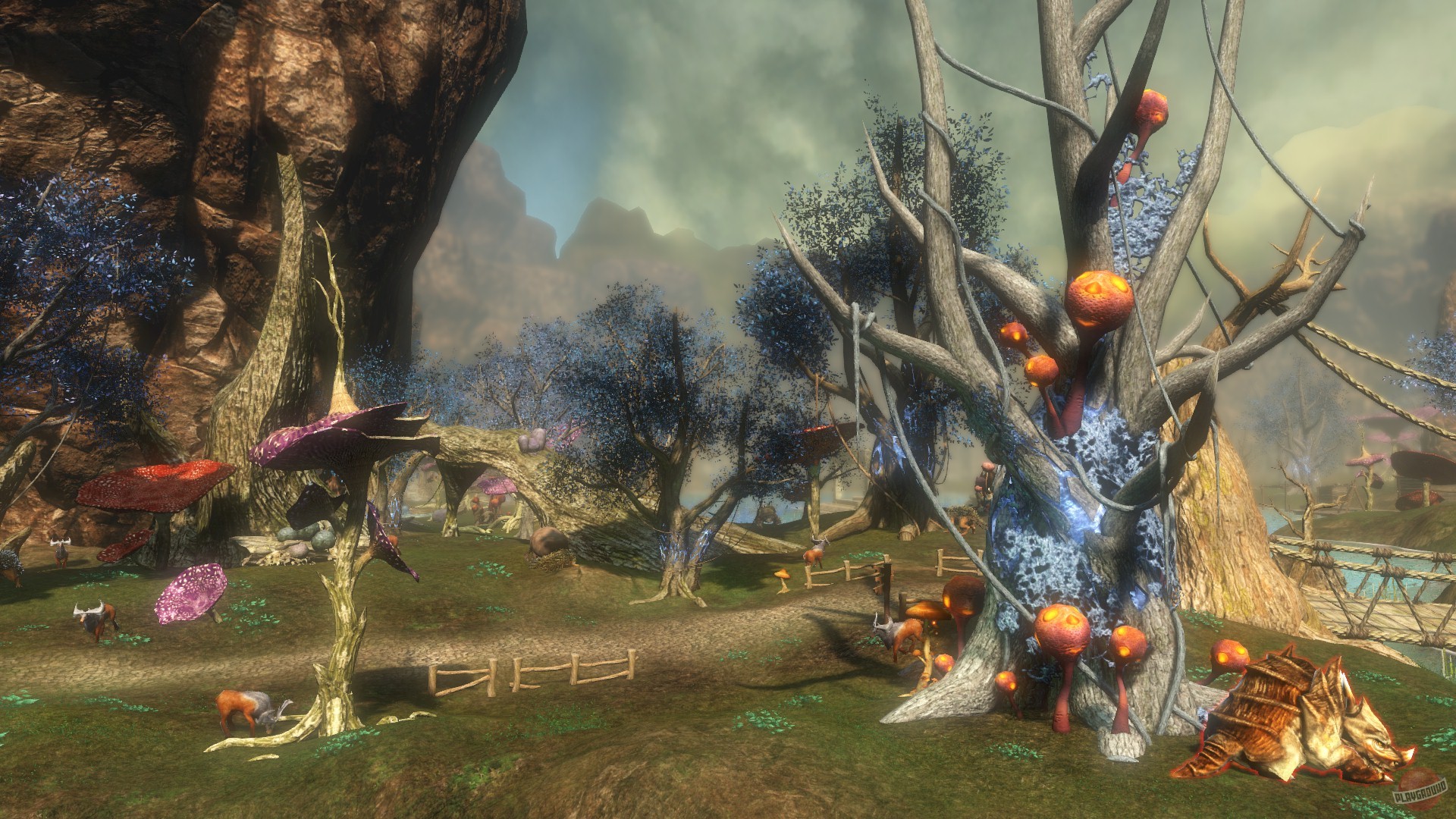 Скриншот из игры Dragon's Prophet - 40