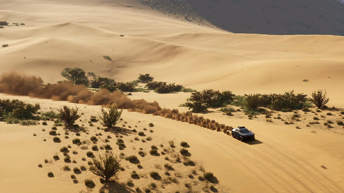 Скриншот из игры Dakar Desert Rally - 20