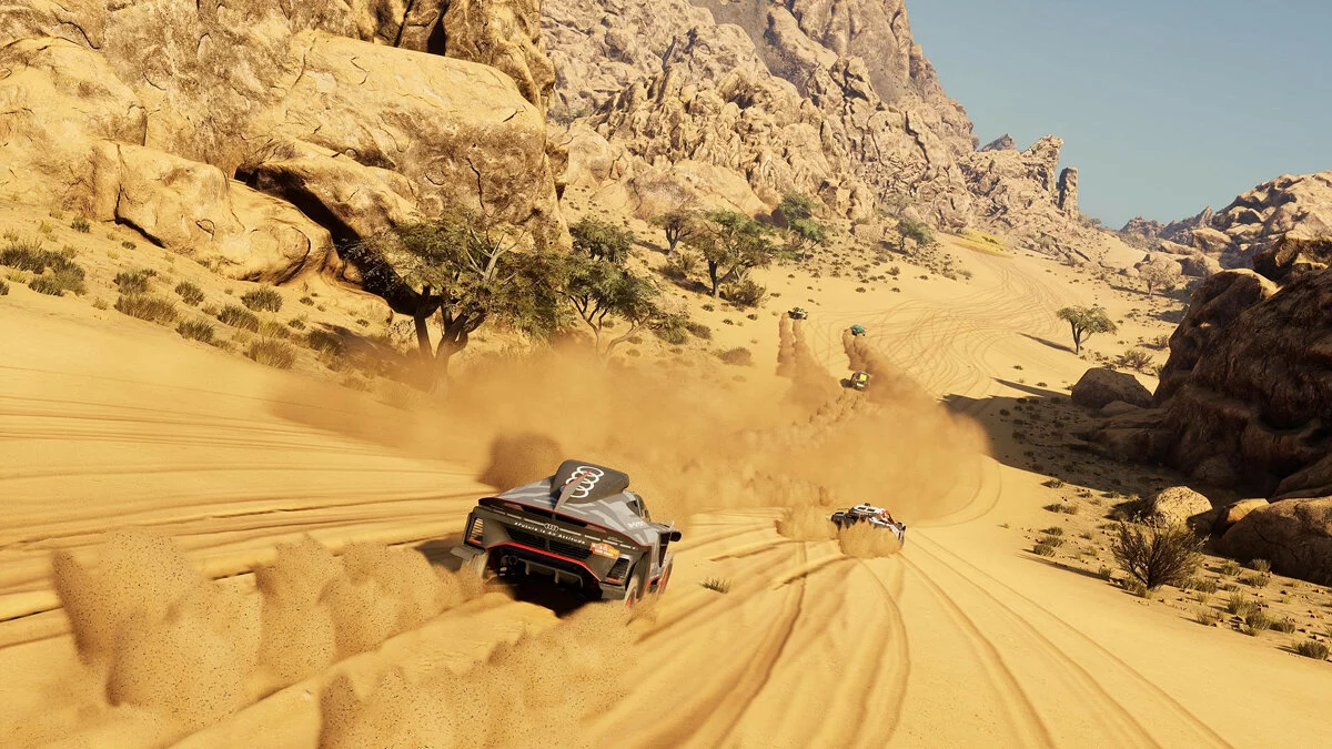 Скриншот из игры Dakar Desert Rally - 16