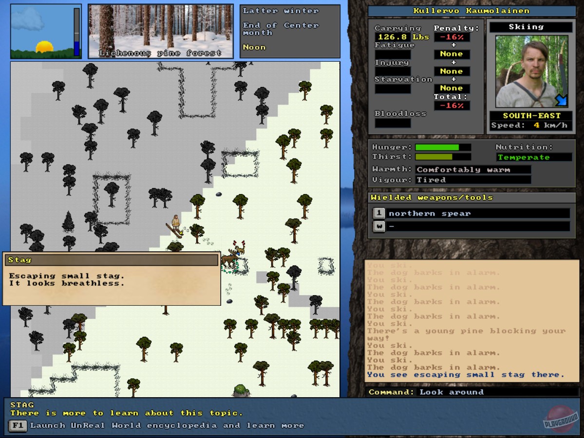Скриншот из игры UnReal World - 12