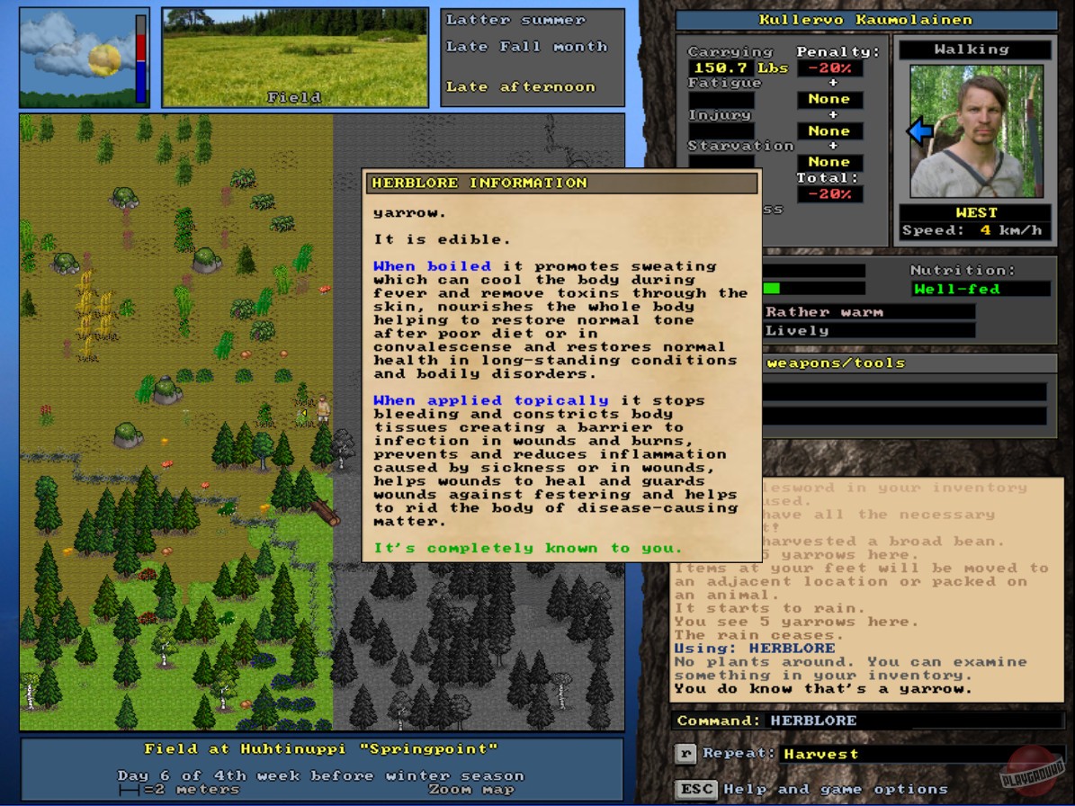 Скриншот из игры UnReal World - 19