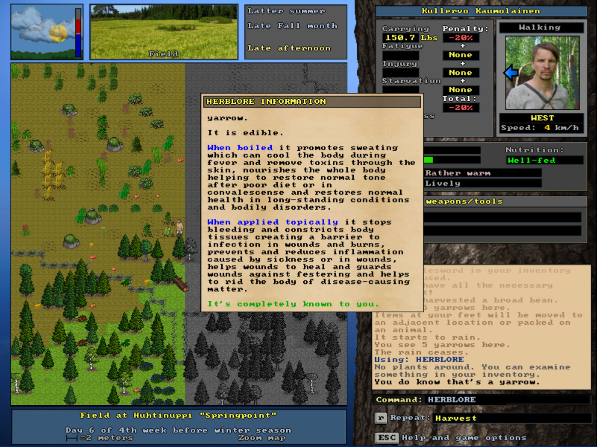 Скриншот из игры UnReal World - 14