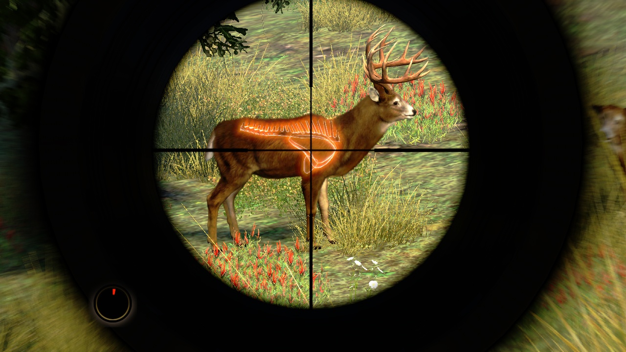 Скриншот из игры Cabela's Outdoor Adventures - 4