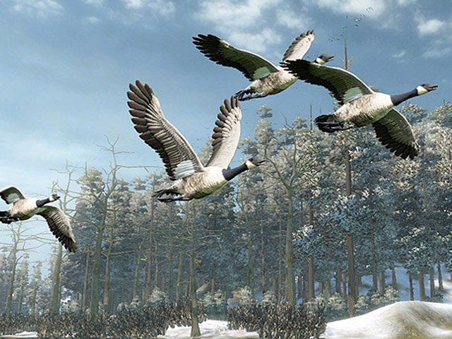 Скриншот из игры Cabela's Outdoor Adventures - 6