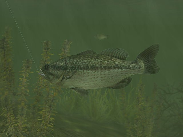 Скриншот из игры Rapala Pro Fishing - 15