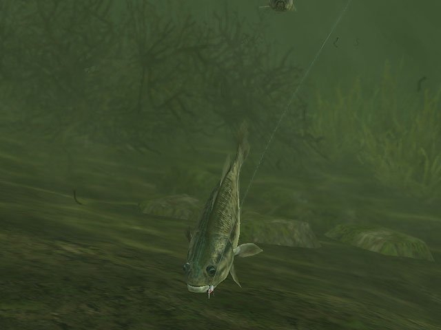 Скриншот из игры Rapala Pro Fishing - 3