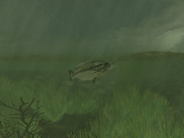 Скриншот из игры Rapala Pro Fishing - 22