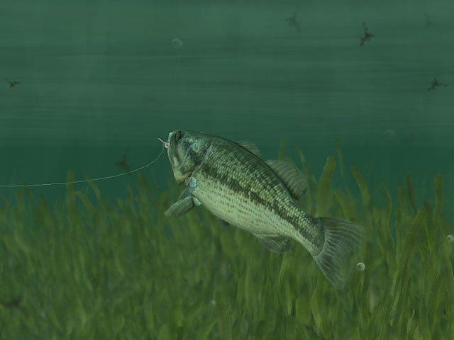Скриншот из игры Rapala Pro Fishing - 27