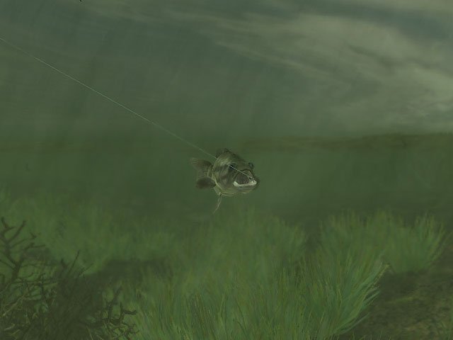 Скриншот из игры Rapala Pro Fishing - 17