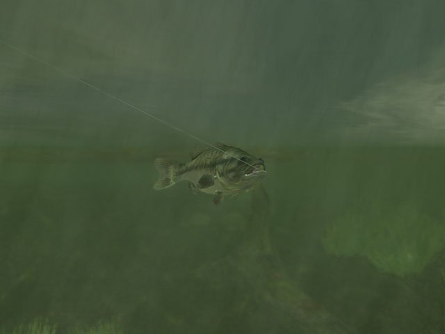 Скриншот из игры Rapala Pro Fishing - 19