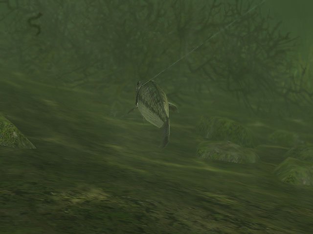 Скриншот из игры Rapala Pro Fishing - 7