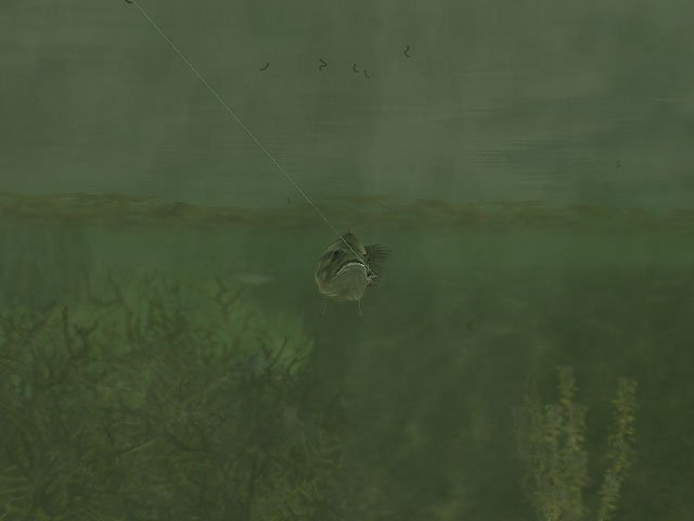 Скриншот из игры Rapala Pro Fishing - 4