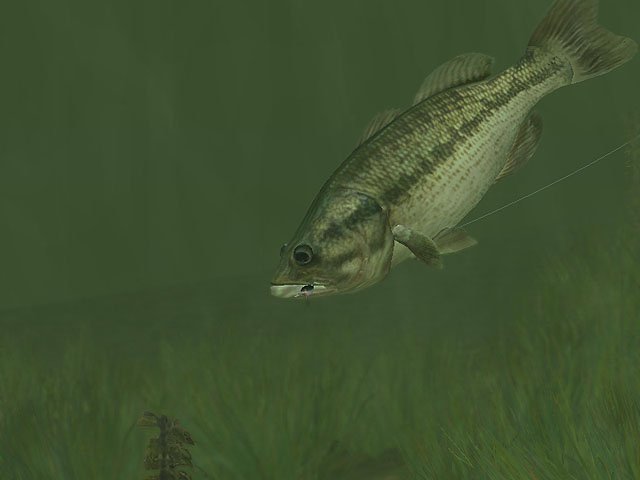 Скриншот из игры Rapala Pro Fishing - 14