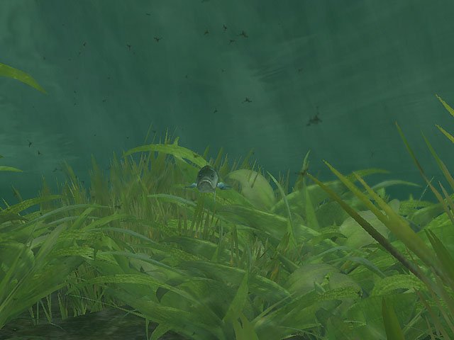 Скриншот из игры Rapala Pro Fishing - 12