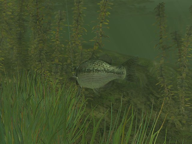 Скриншот из игры Rapala Pro Fishing - 26