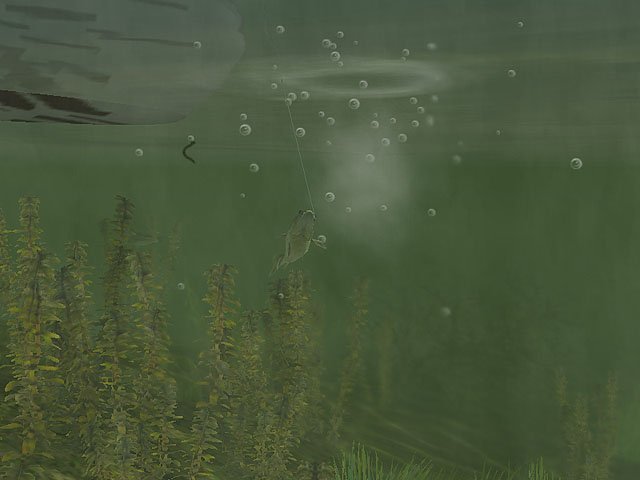 Скриншот из игры Rapala Pro Fishing - 9