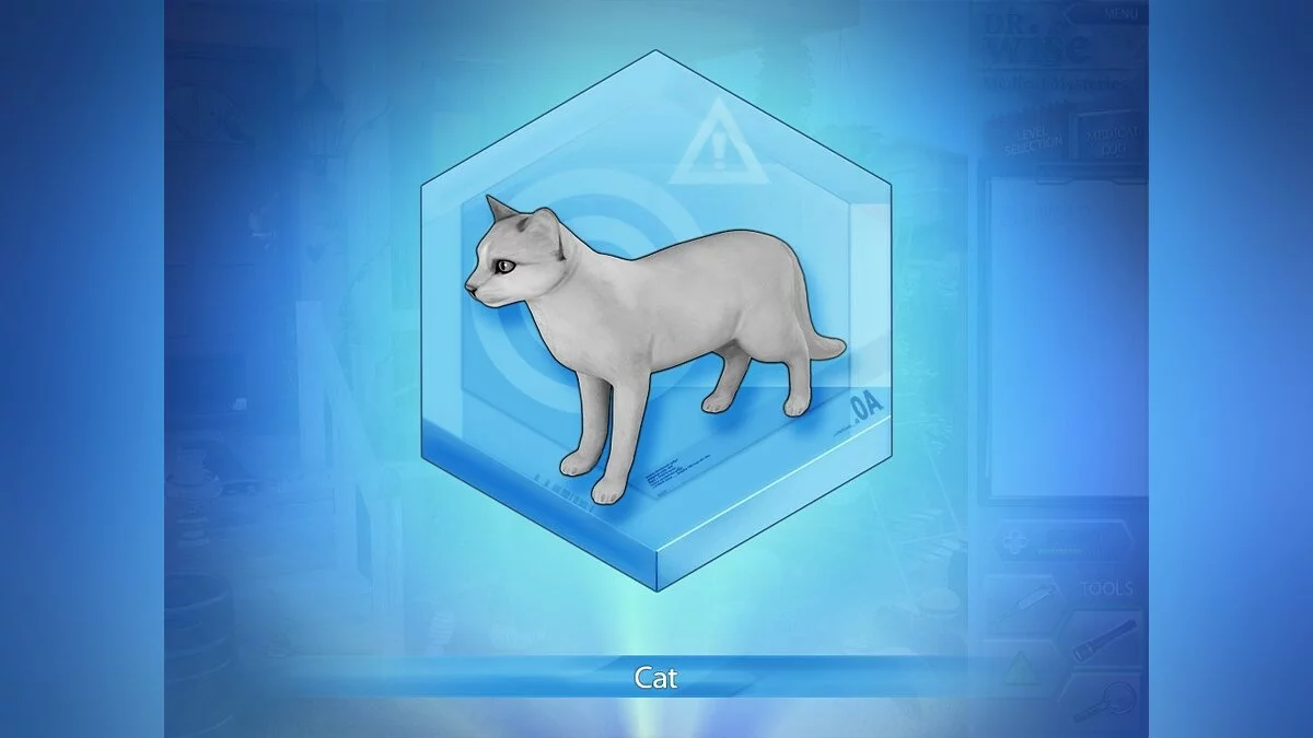 Скриншот из игры Dr Wise: Medical Mysteries - 10