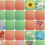 Обложка игры Pop Culture Sudoku