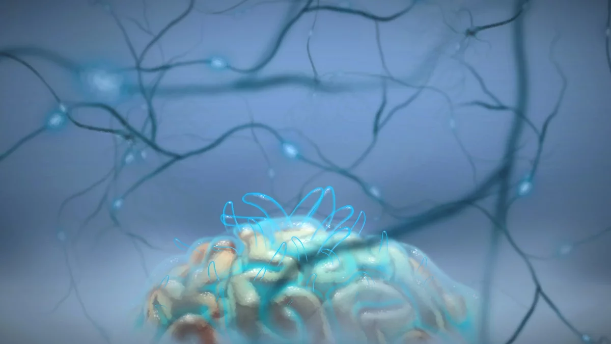 Скриншот из игры Nerobi - 18