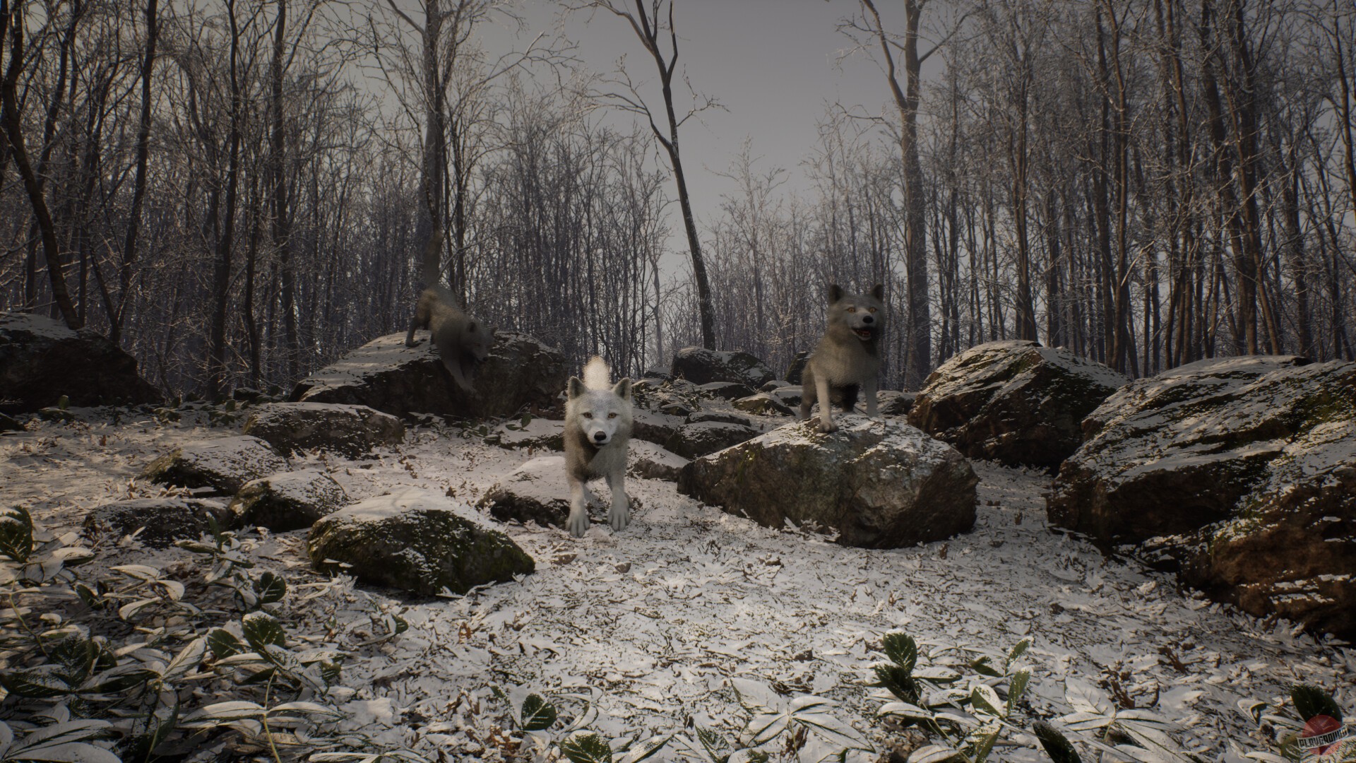 Скриншот из игры Tales of Anturia: Hejstos - 4