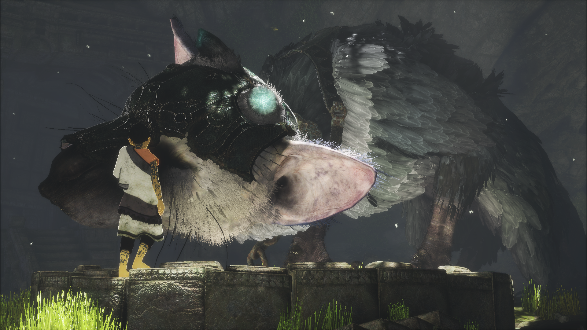 Скриншот из игры The Last Guardian - 152