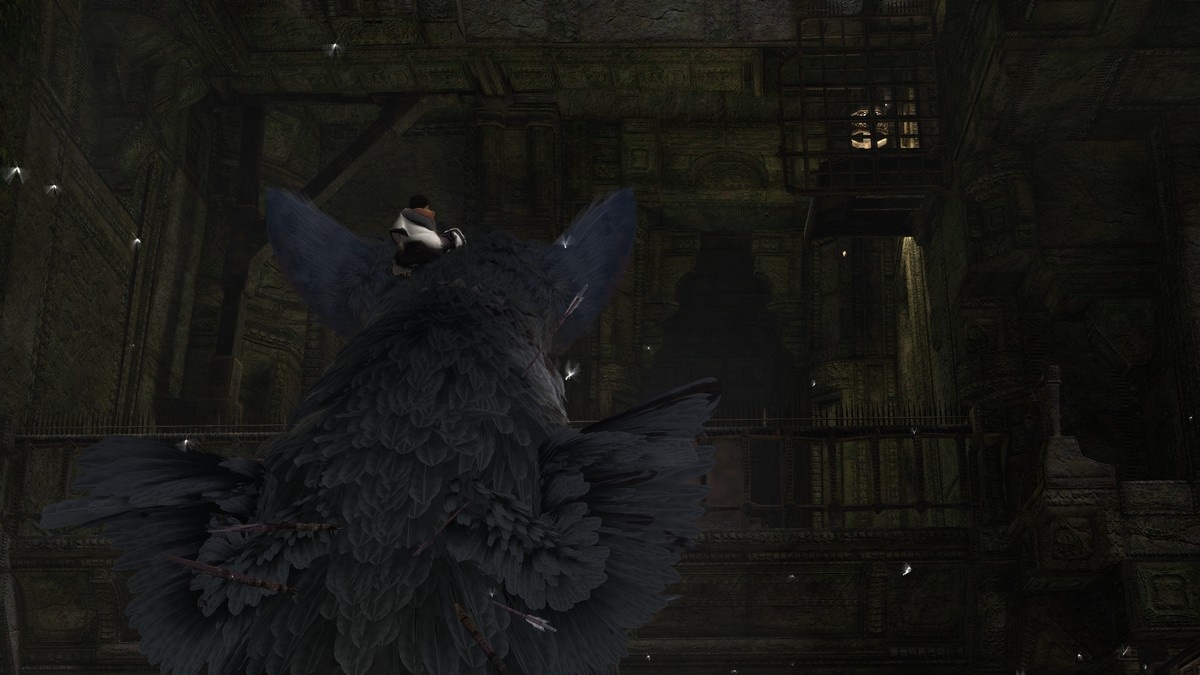 Скриншот из игры The Last Guardian - 143