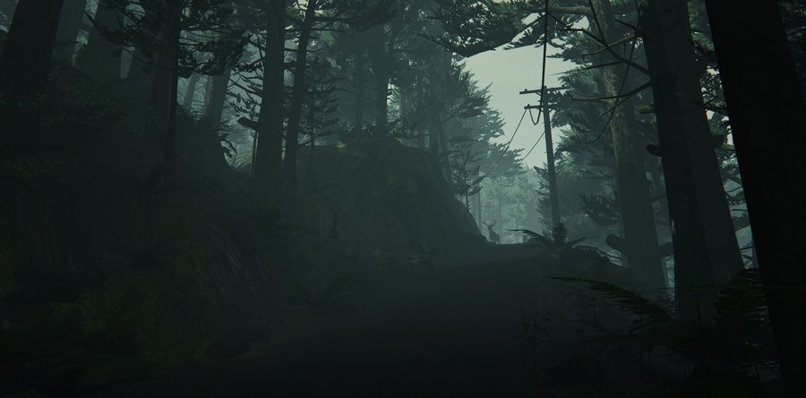 Скриншот из игры What Remains of Edith Finch - 15