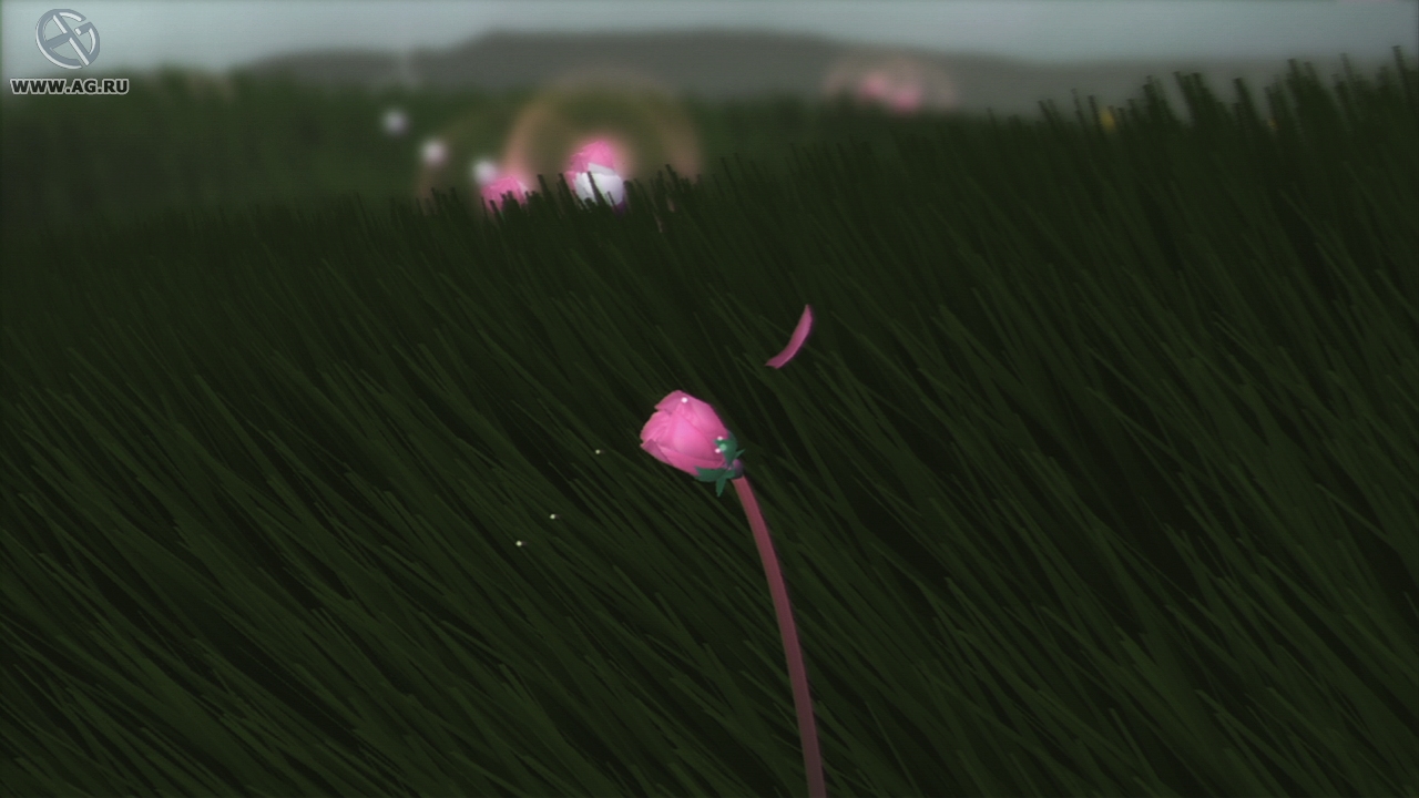 Скриншот из игры Flower - 66