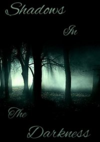 Обложка игры Shadows in the Darkness