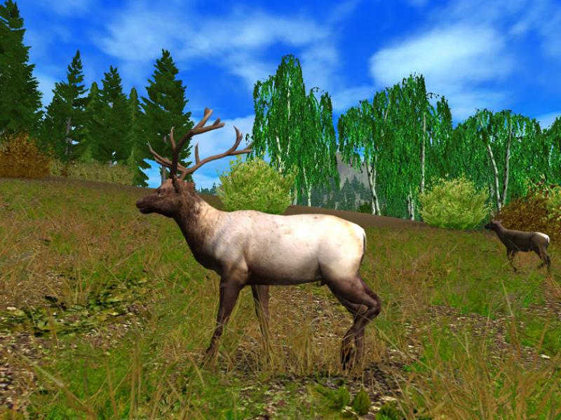 Скриншот из игры Hunting Unlimited 2009 - 14
