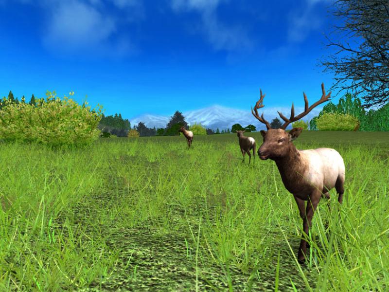 Скриншот из игры Hunting Unlimited 2009 - 16