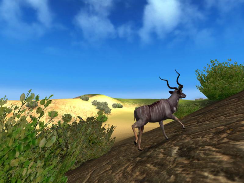 Скриншот из игры Hunting Unlimited 2009 - 11