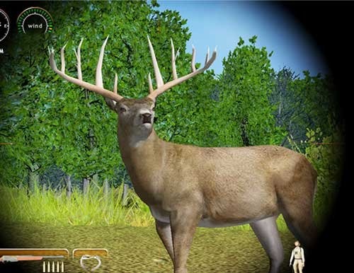 Скриншот из игры Hunting Unlimited 2010 - 31