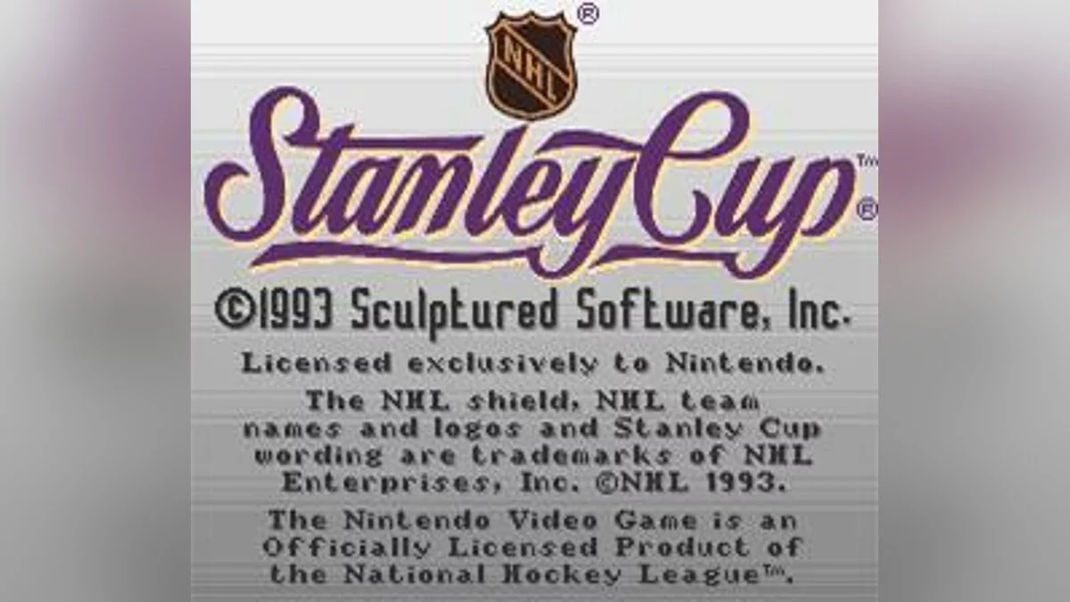 Скриншот из игры NHL Stanley Cup - 4