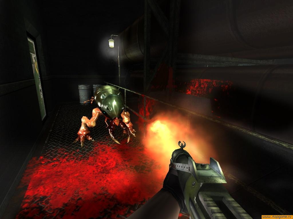 Скриншот из игры Rat Hunter - 16