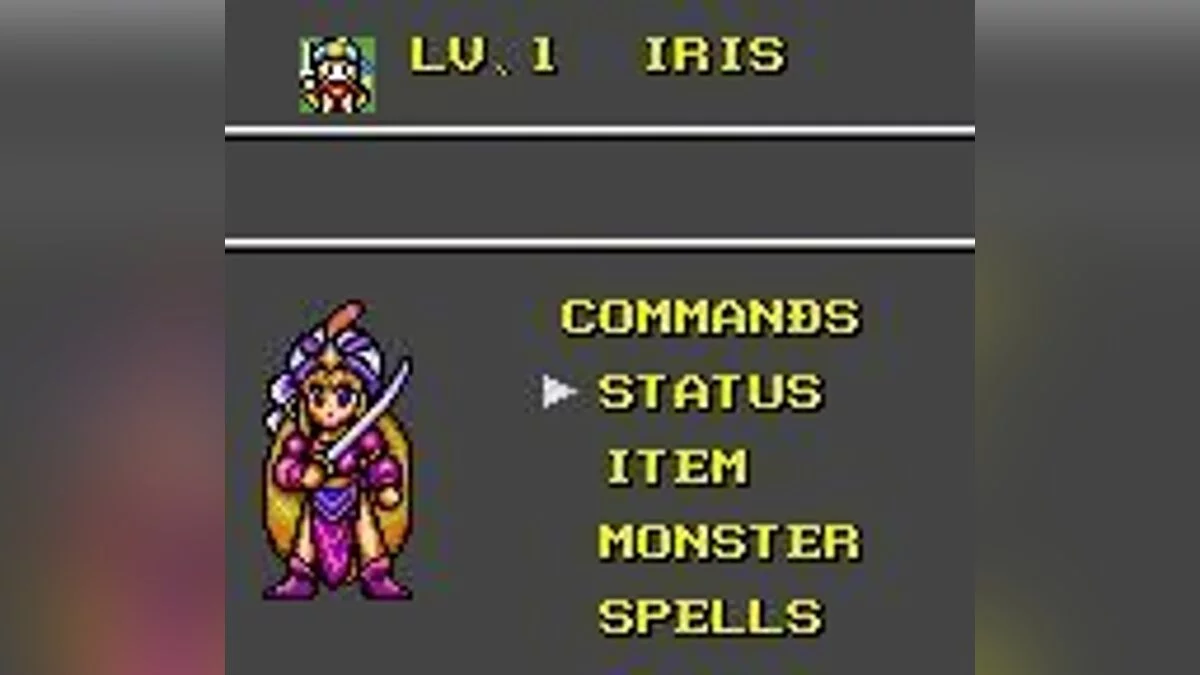 Скриншот из игры Crystal Warriors - 9