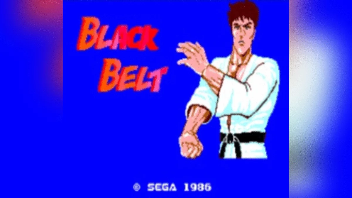 Скриншот из игры Black Belt - 2