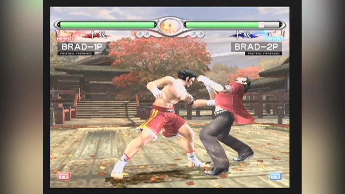 Скриншот из игры Virtua Fighter 4: Evolution - 10